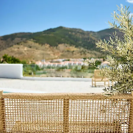 Rustico Benecid