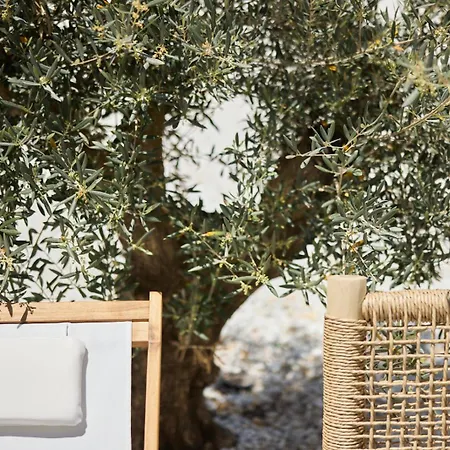 Apartamento Rustico Benecid